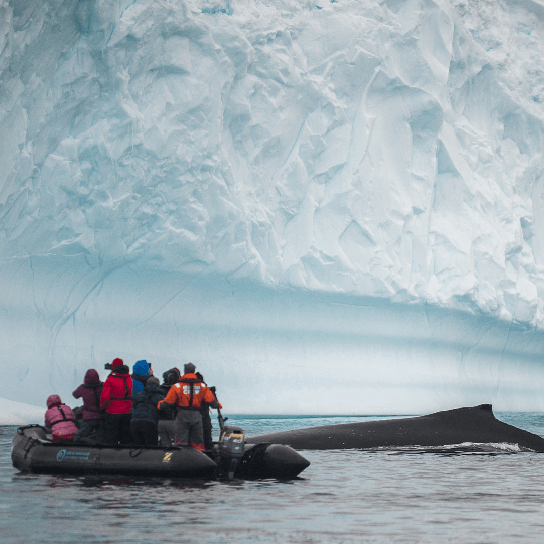 Buceo en la Antartida